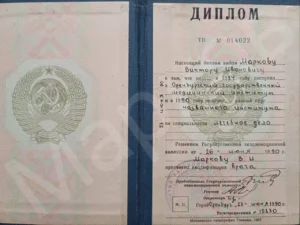 диплом советского образца об окончании института по специальности лечебное дело